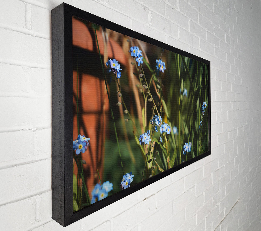  A Canvas Print of Blue Flowers In Bloom Canvas Art