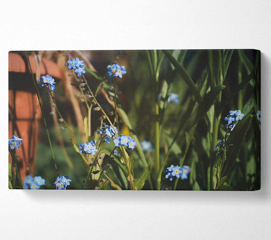  A Canvas Print of Blue Flowers In Bloom Canvas Art