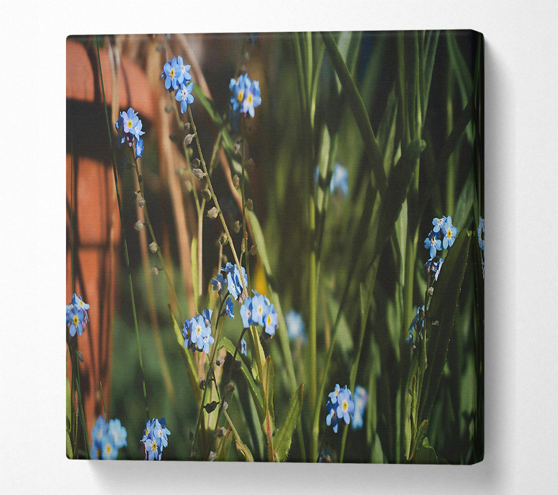  A Canvas Print of Blue Flowers In Bloom Canvas Art