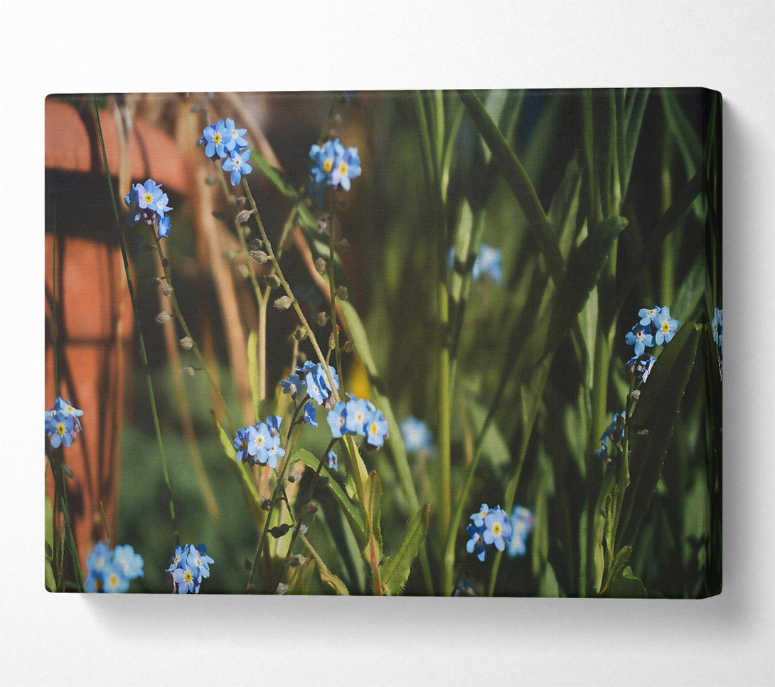  A Canvas Print of Blue Flowers In Bloom Canvas Art