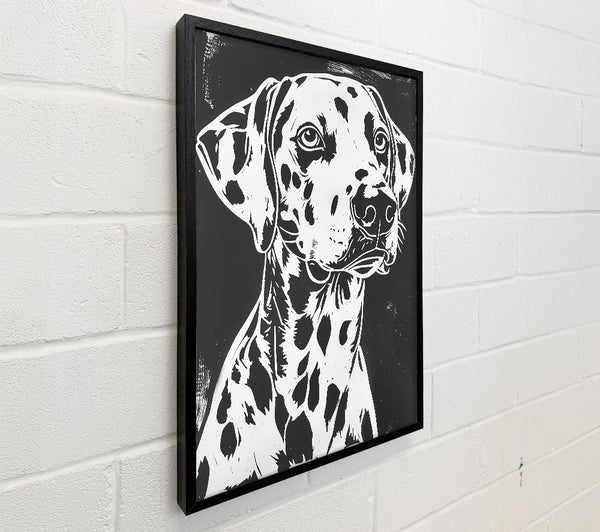 Black And White Spot