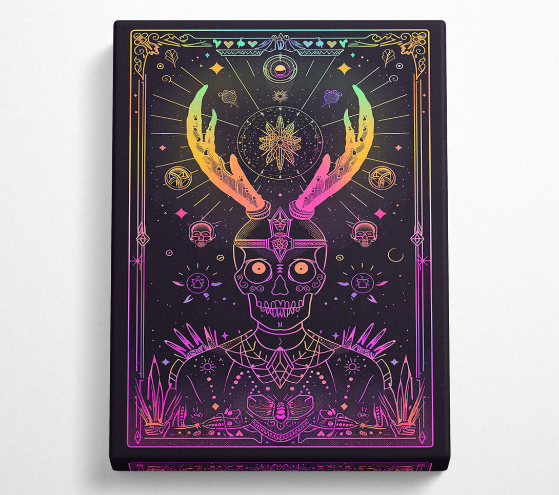 A Canvas Print of Pink Cosmic Skull Canvas Wall Art