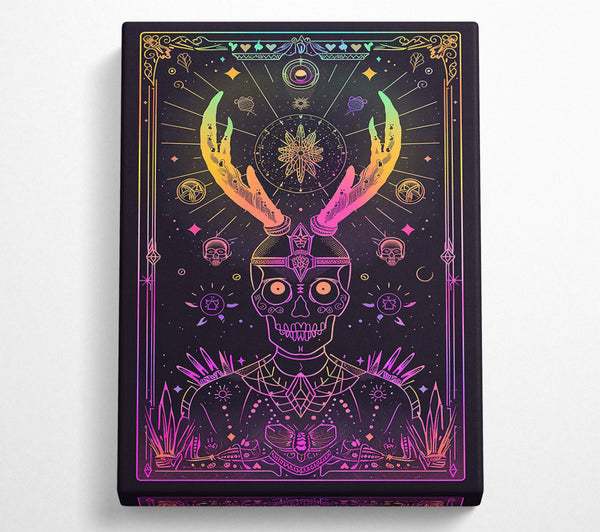  A Canvas Print of Pink Cosmic Skull Canvas Wall Art