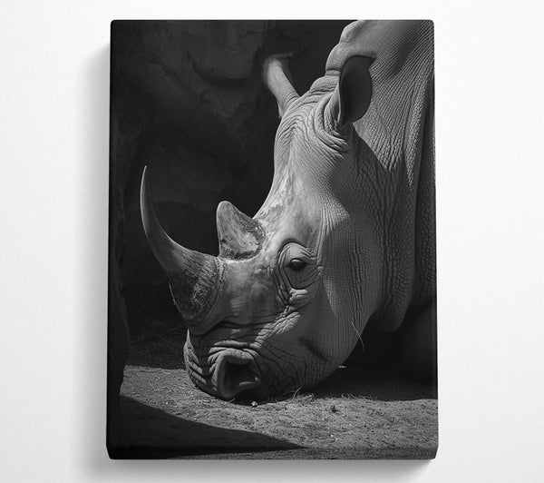  A Canvas Print of Gray Rhino'S Rest Canvas Print