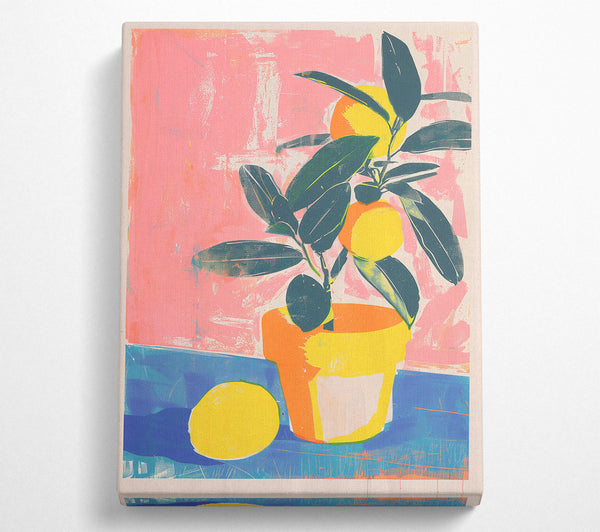  A Canvas Print of Pink Citrus Still Life Canvas Print