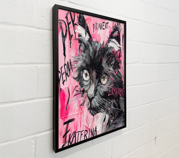 Pink Feline Gaze