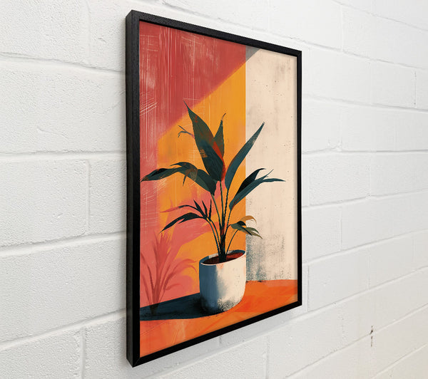 Orange Sunlight Plant