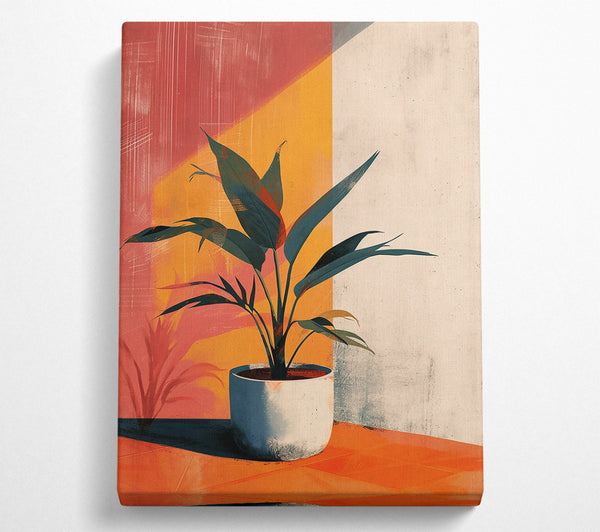 Orange Sunlight Plant Canvas Print