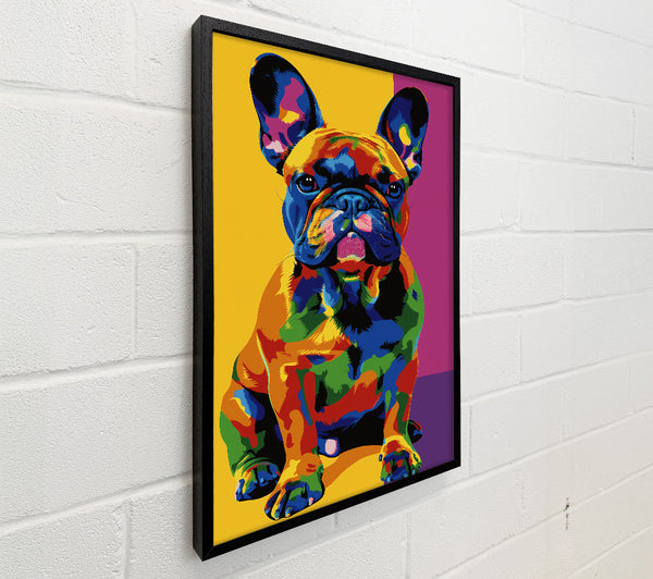 Blue Frenchie Frenzy