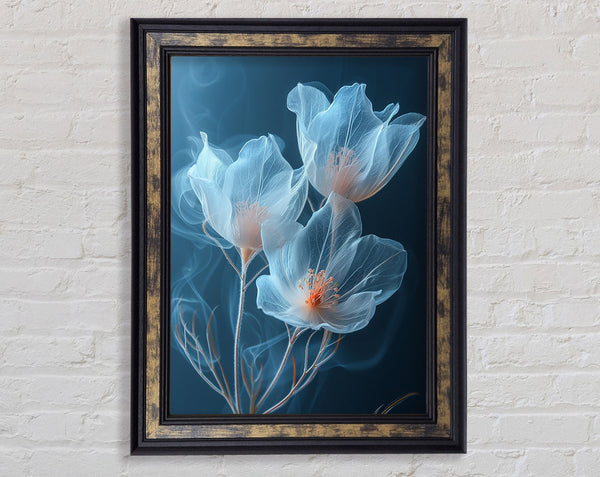 Translucent Flowers Framed Print
