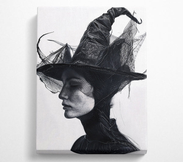  A Canvas Print of Black Veil Enchantment Canvas Art