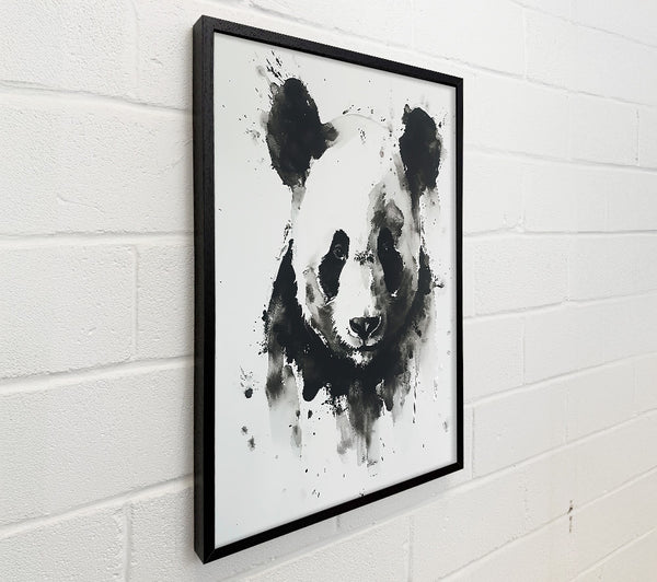 Black And White Panda