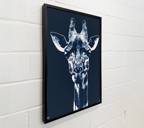 Indigo Giraffe Gaze
