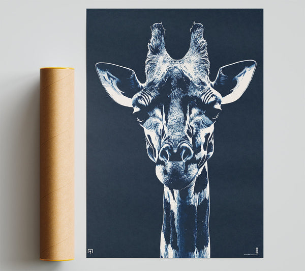 Indigo Giraffe Gaze