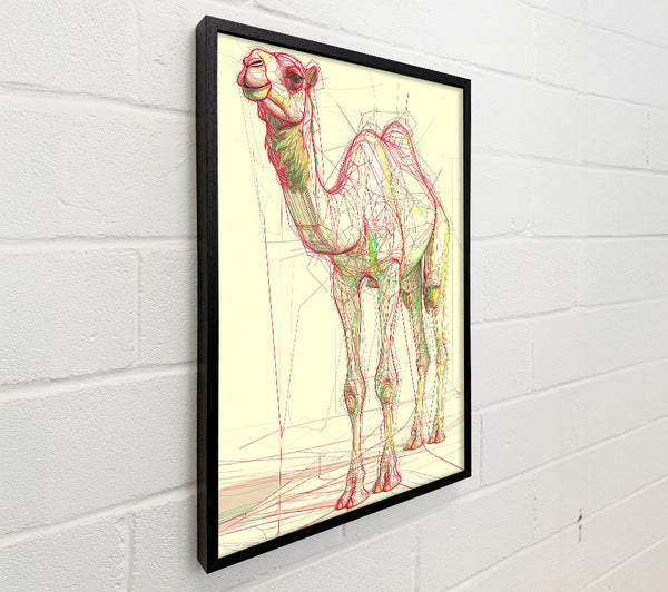 Red Line Camel
