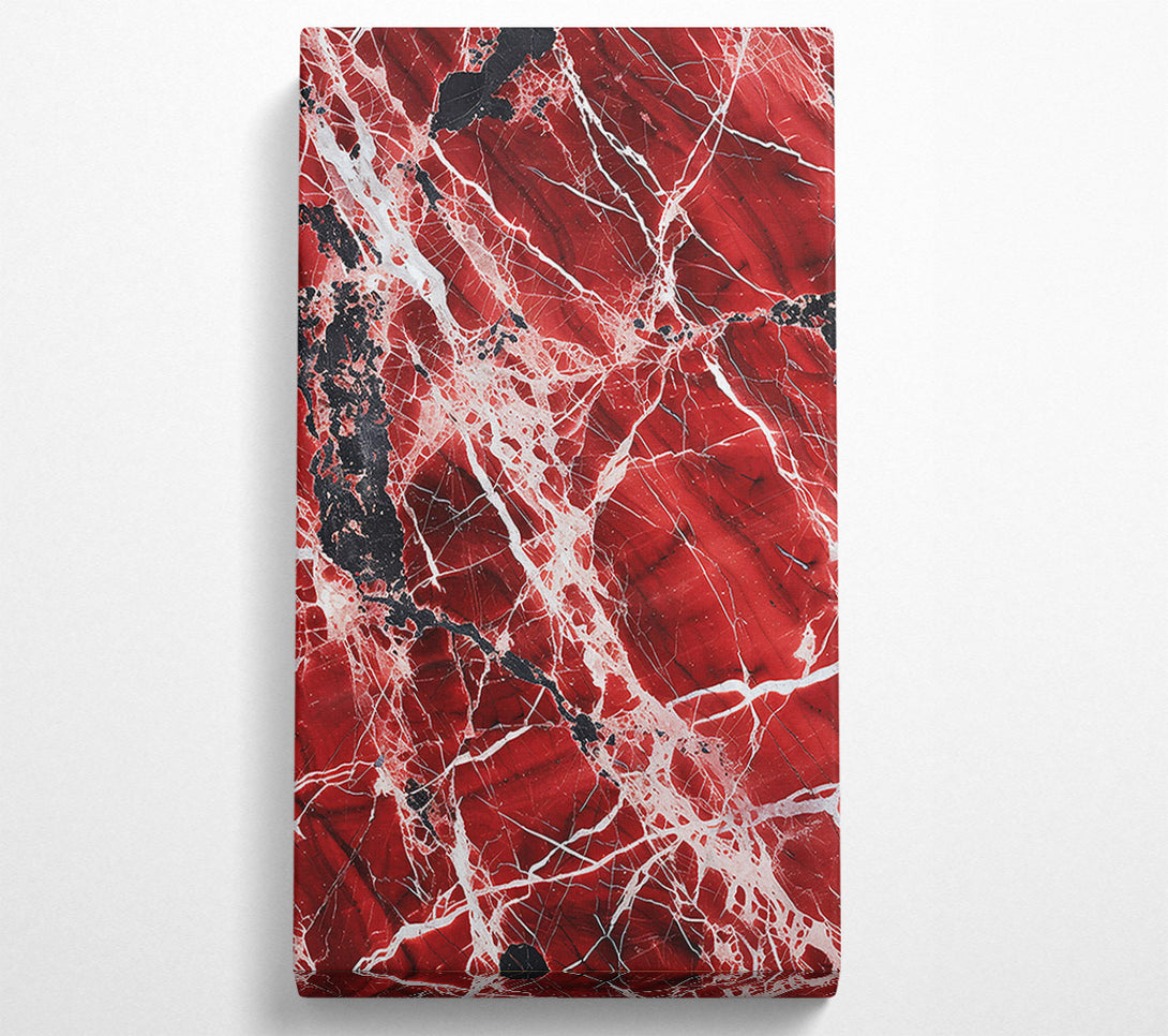  A Canvas Print of Crimson Vein Embrace Canvas Wall Art