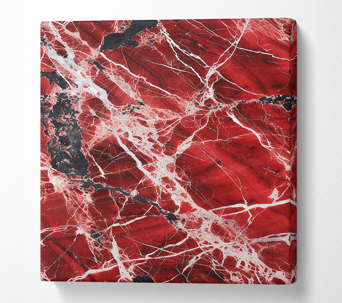  A Canvas Print of Crimson Vein Embrace Canvas Wall Art