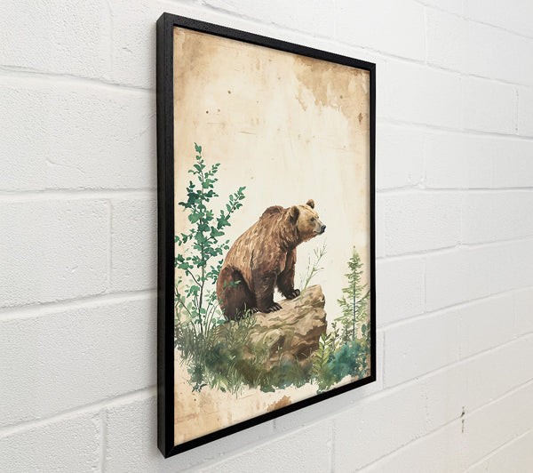 Brown Bear'S Lookout
