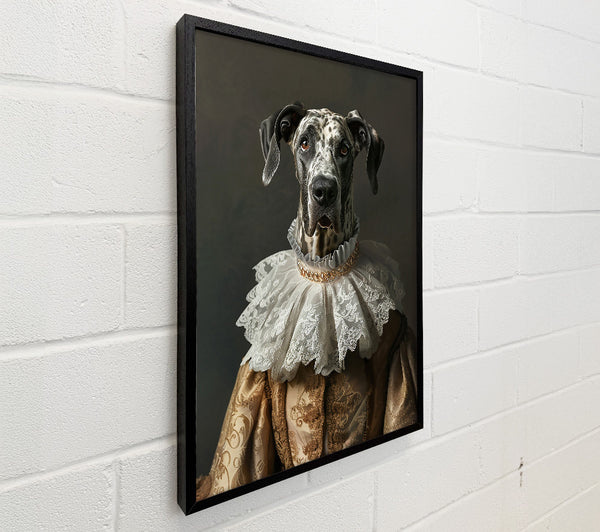 Golden Ruffled Regality
