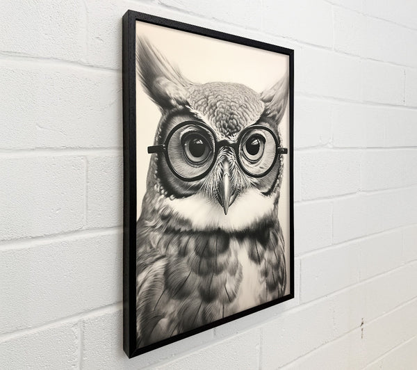 Black And White Owl