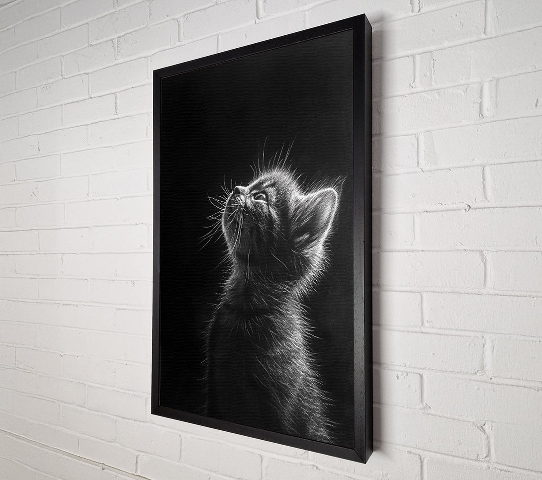  A Canvas Print of White Whisker Dreams Canvas Art