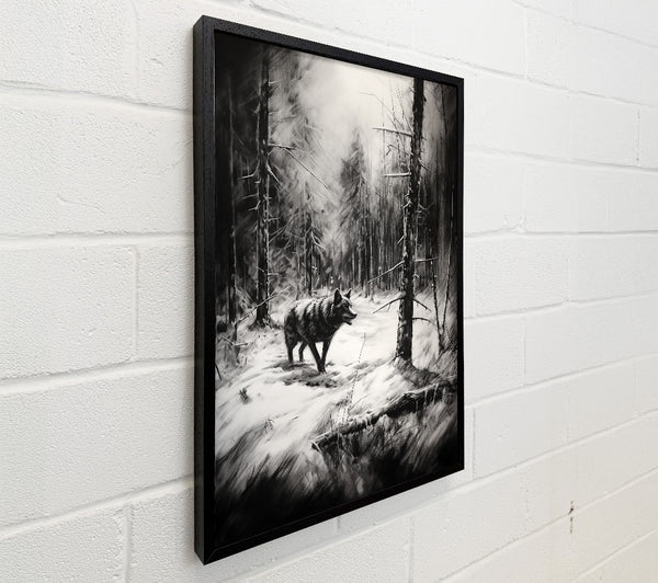 White Shadows, Lone Wolf
