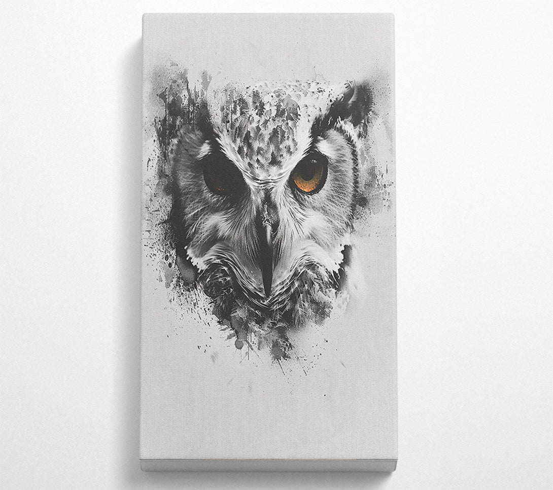  A Canvas Print of Golden Eye Owl. Canvas Print