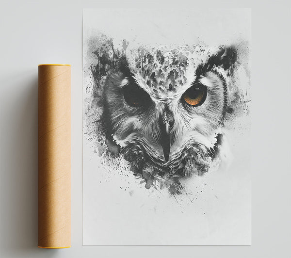 Golden Eye Owl.