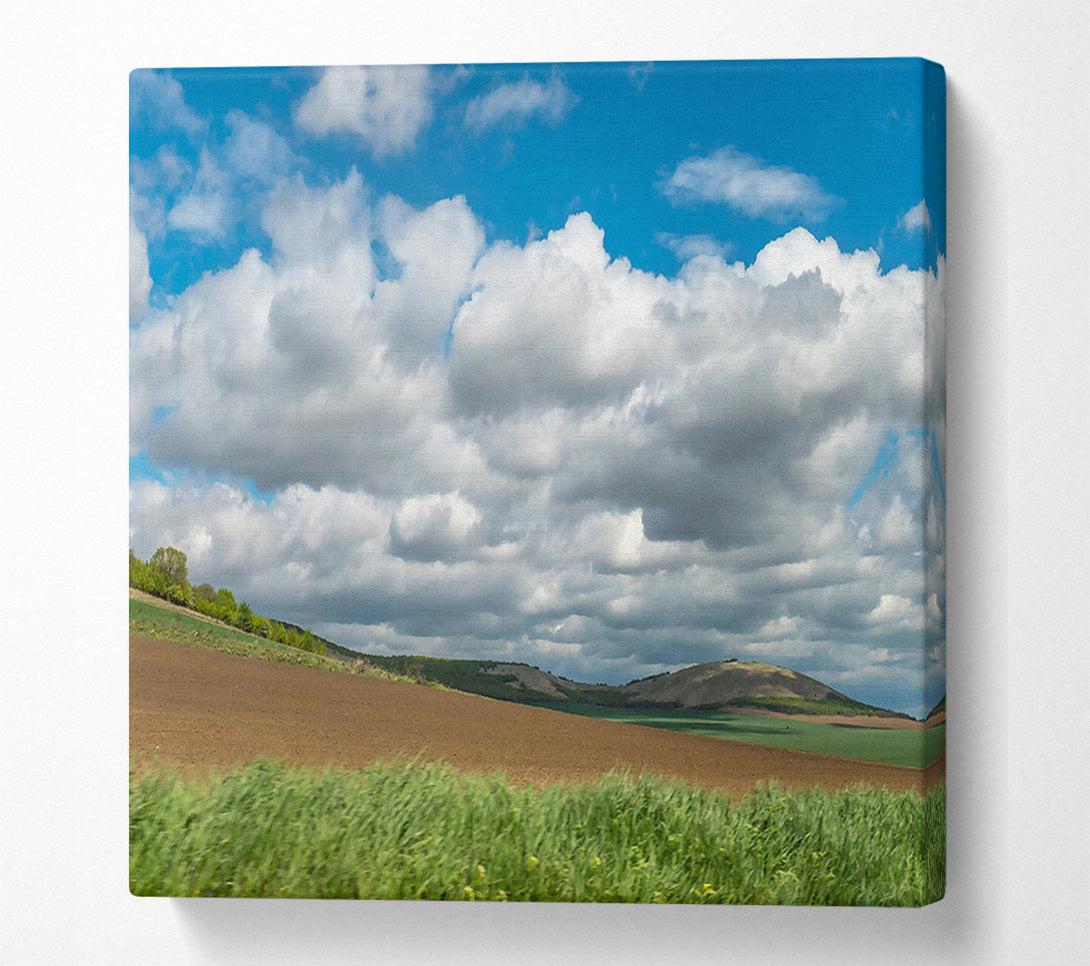  A Canvas Print of Brown Fields And Clouds Canvas Wall Art