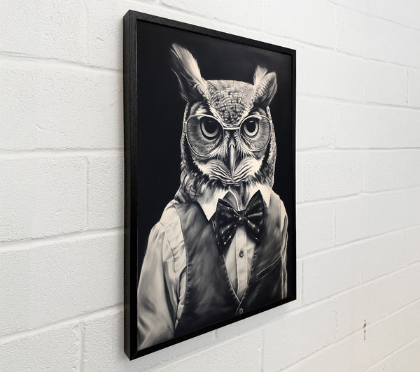 Black & White Owl In A Vest
