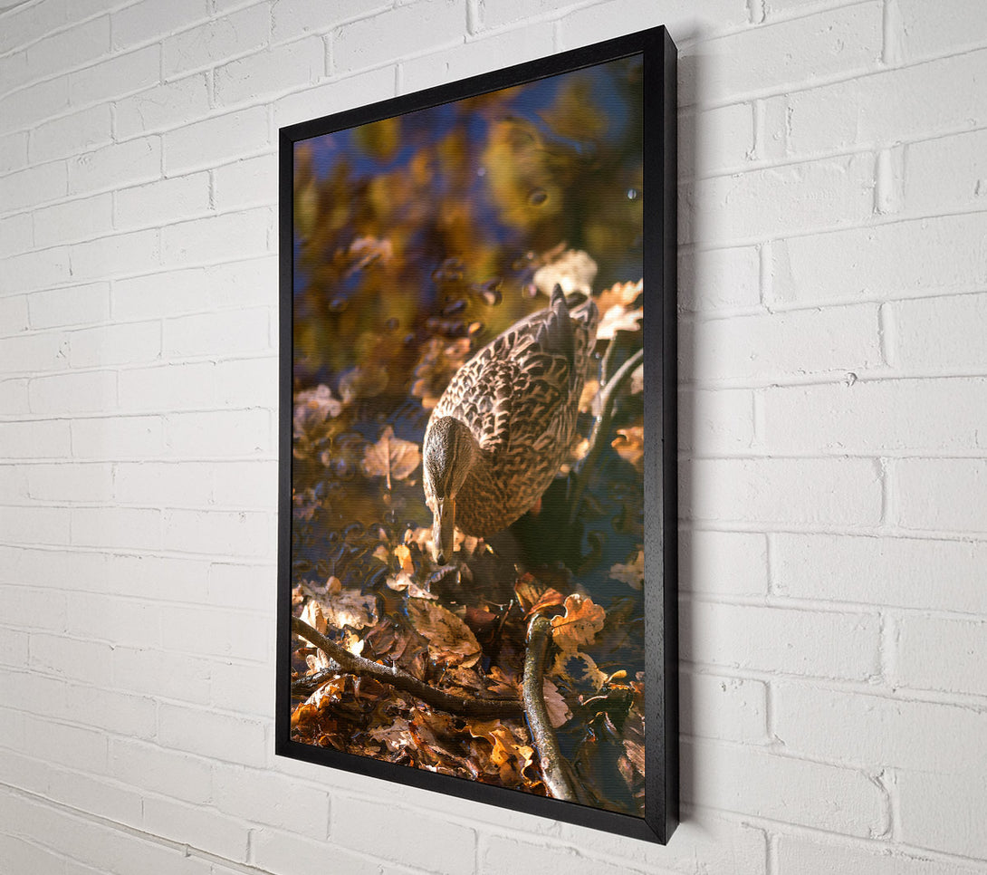  A Canvas Print of Golden Duck In Autumn Canvas Wall Art