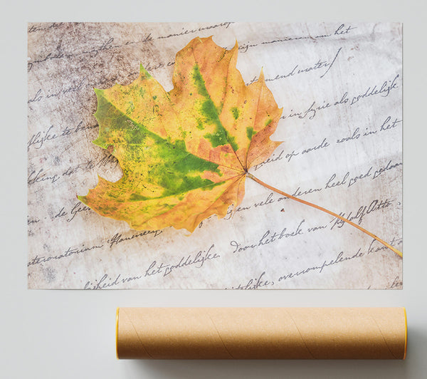 Golden Leaf On Parchment