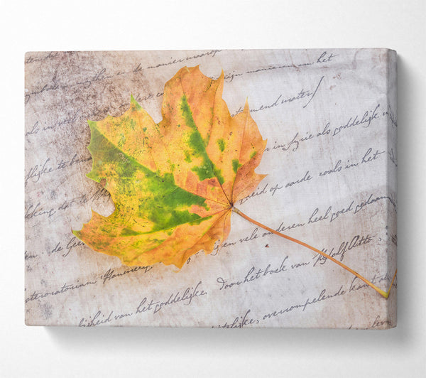  A Canvas Print of Golden Leaf On Parchment Canvas Print