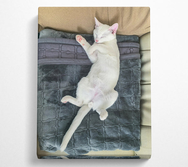  A Canvas Print of Gray Blanket Slumber Canvas Art