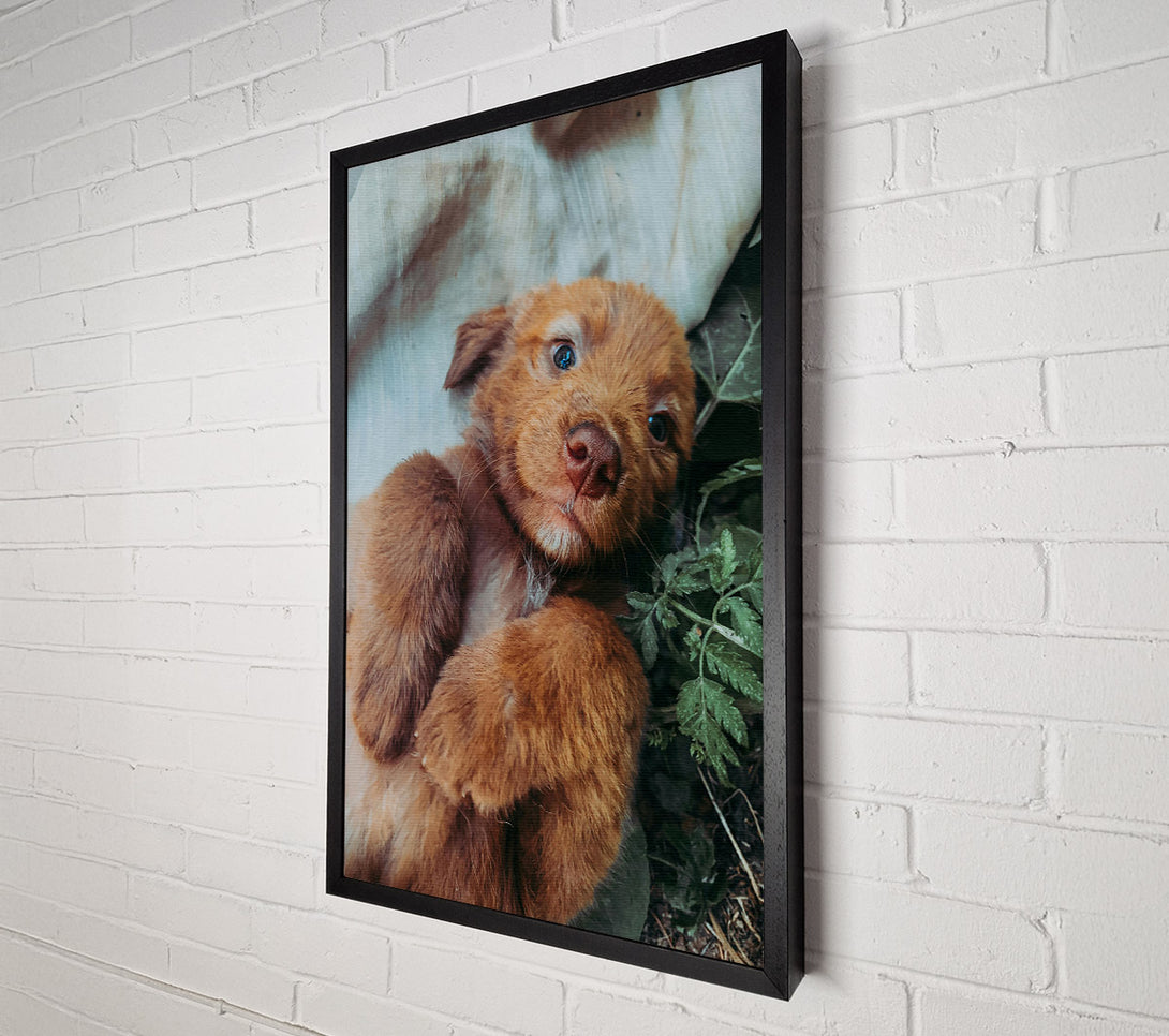  A Canvas Print of Copper Pup Snuggle Canvas Wall Art