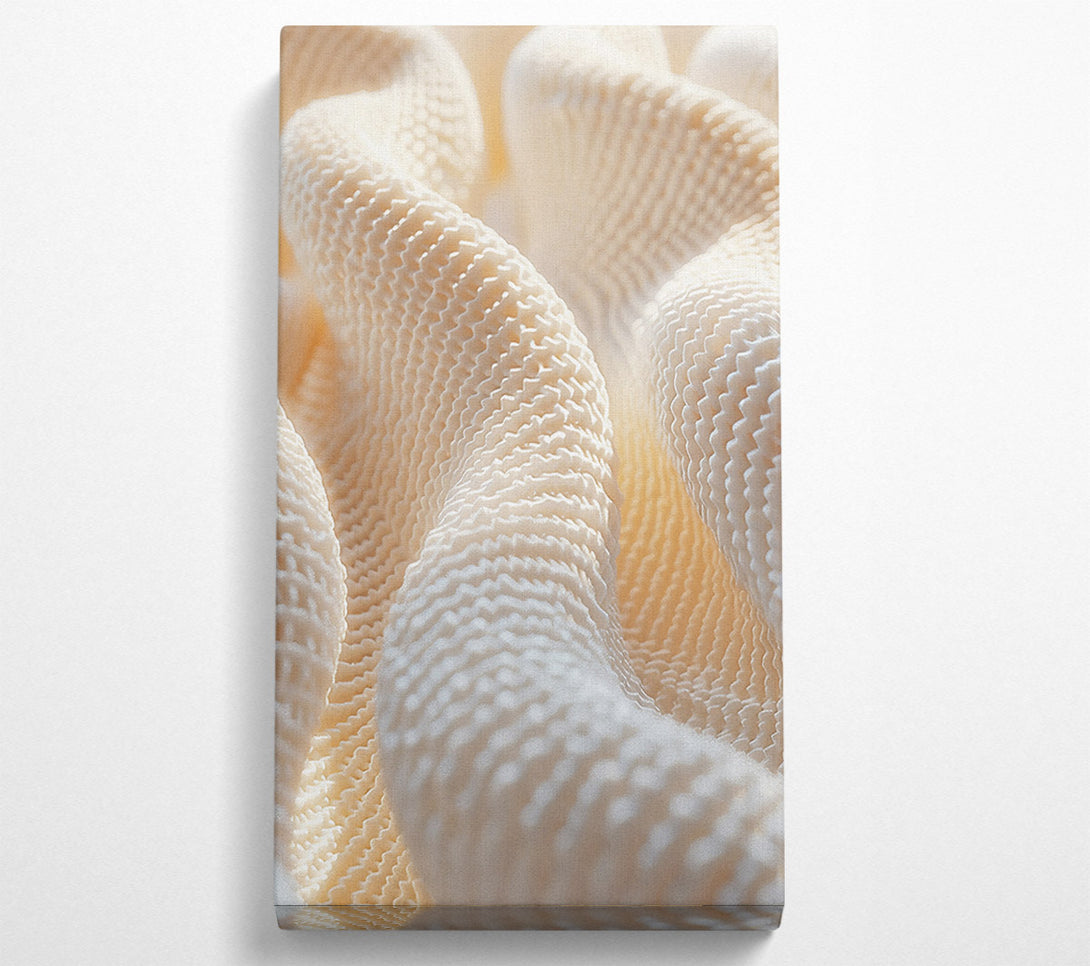  A Canvas Print of Creamy Wave Patterns Canvas Art