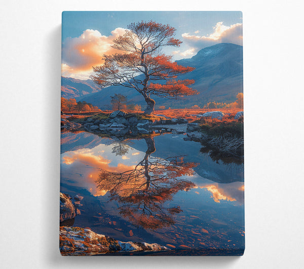 Orange Tree Reflection Canvas Print