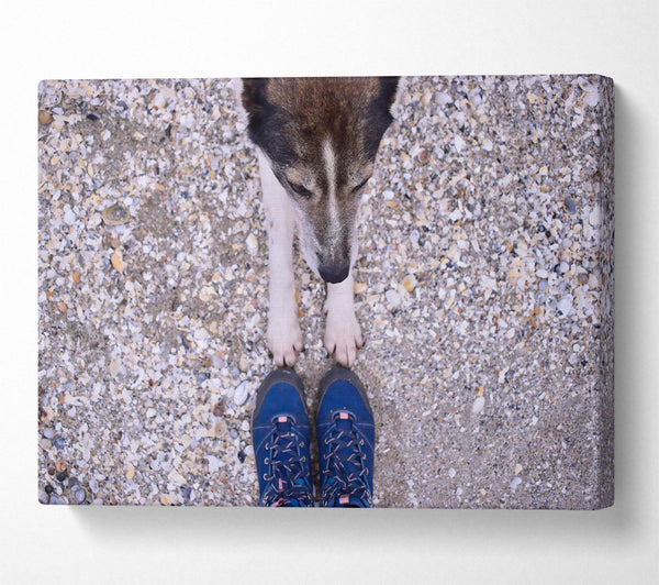  A Canvas Print of Blue Paw Prints On Sand Canvas Art