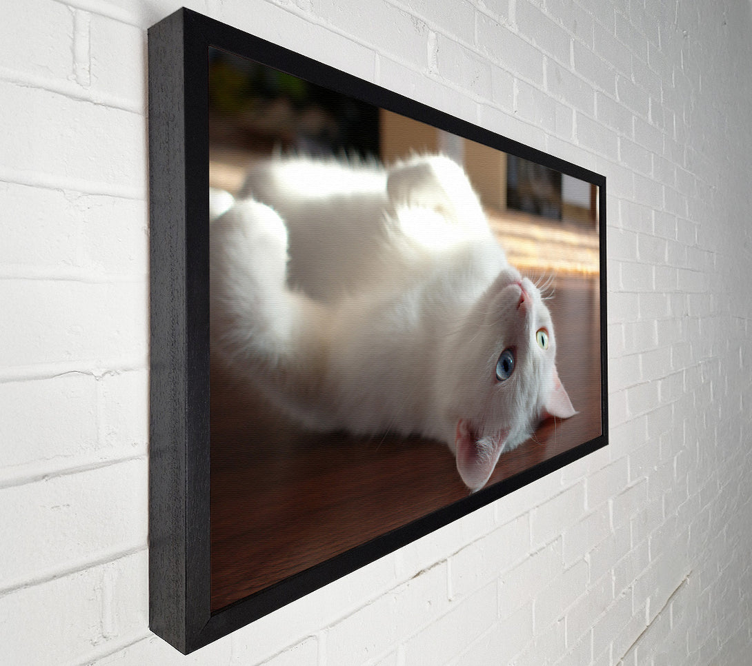  A Canvas Print of White Kitty'S Smile Canvas Art