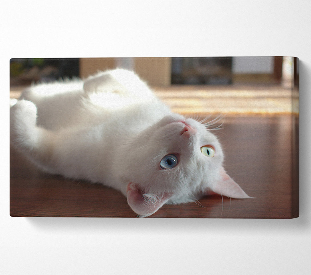  A Canvas Print of White Kitty'S Smile Canvas Art
