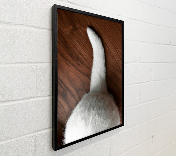 White Fur On Brown Floor
