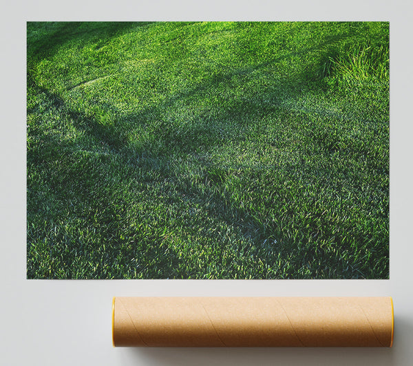 Emerald Green Meadow