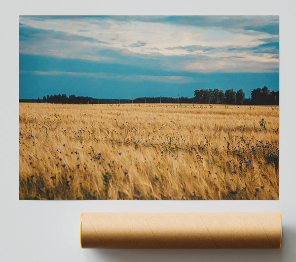 Golden Field Blues