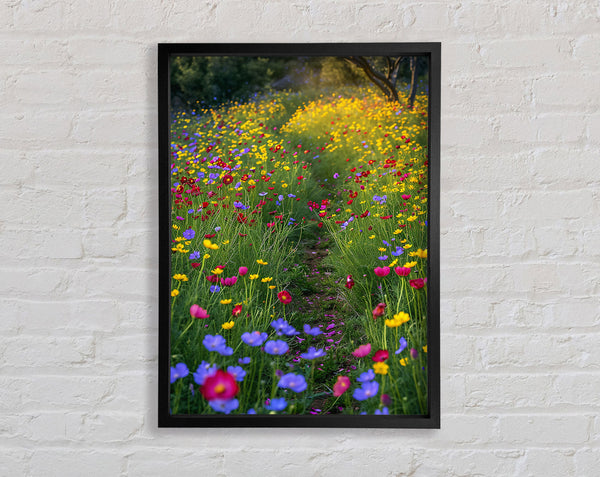 Wildflower Pathway Framed Print