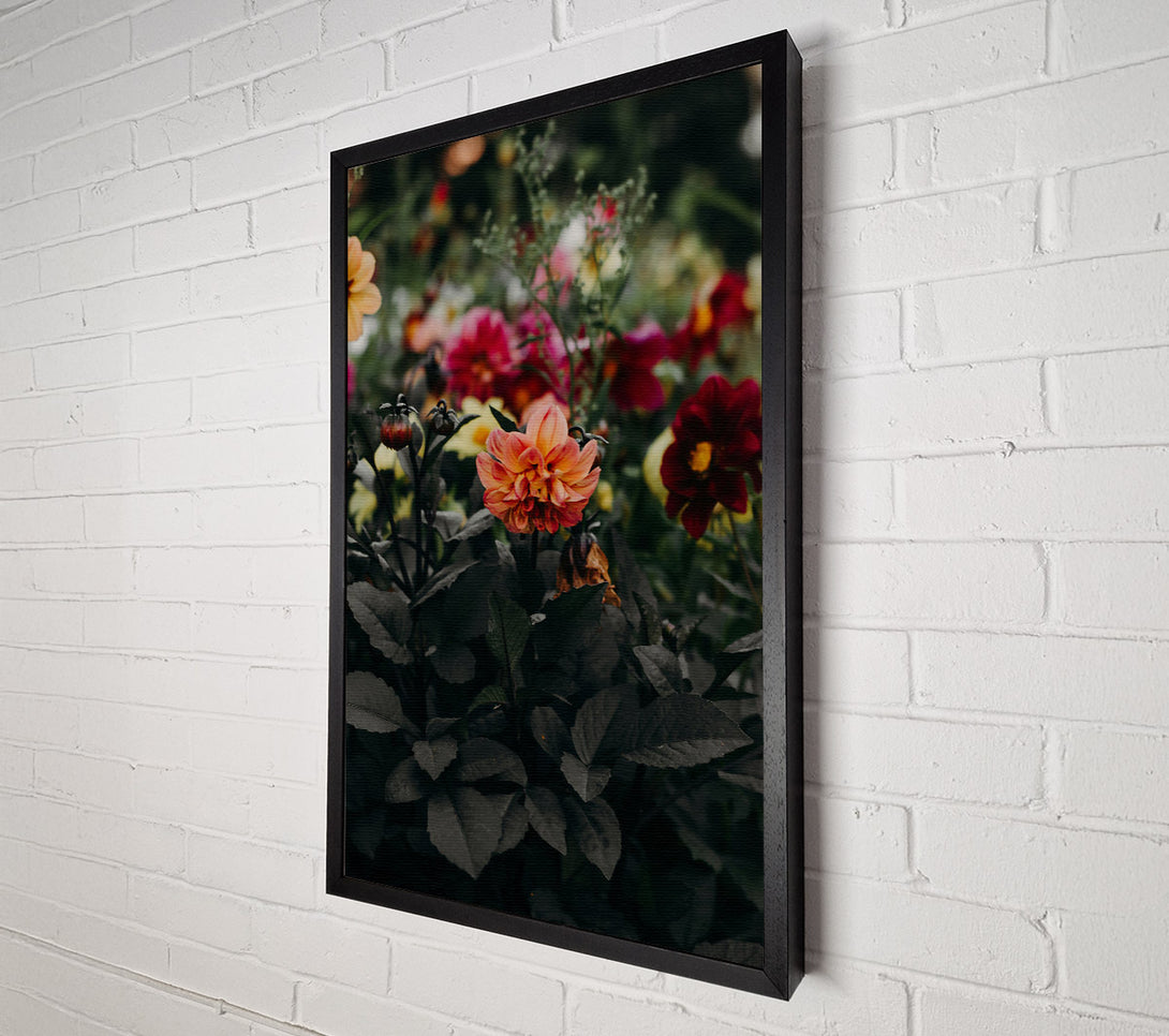  A Canvas Print of Peach Bloom Darkness Canvas Wall Art