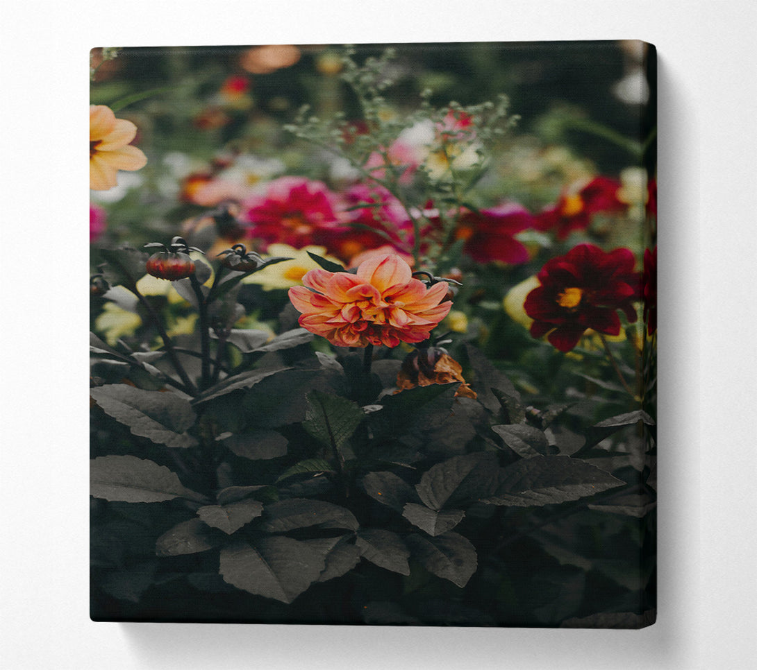  A Canvas Print of Peach Bloom Darkness Canvas Wall Art