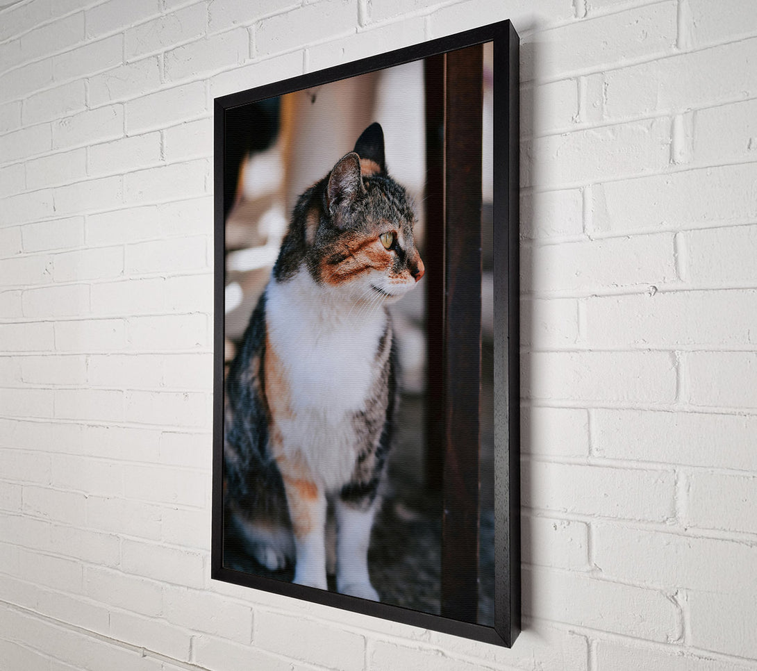  A Canvas Print of Golden-Eyed Feline Glance Canvas Wall Art