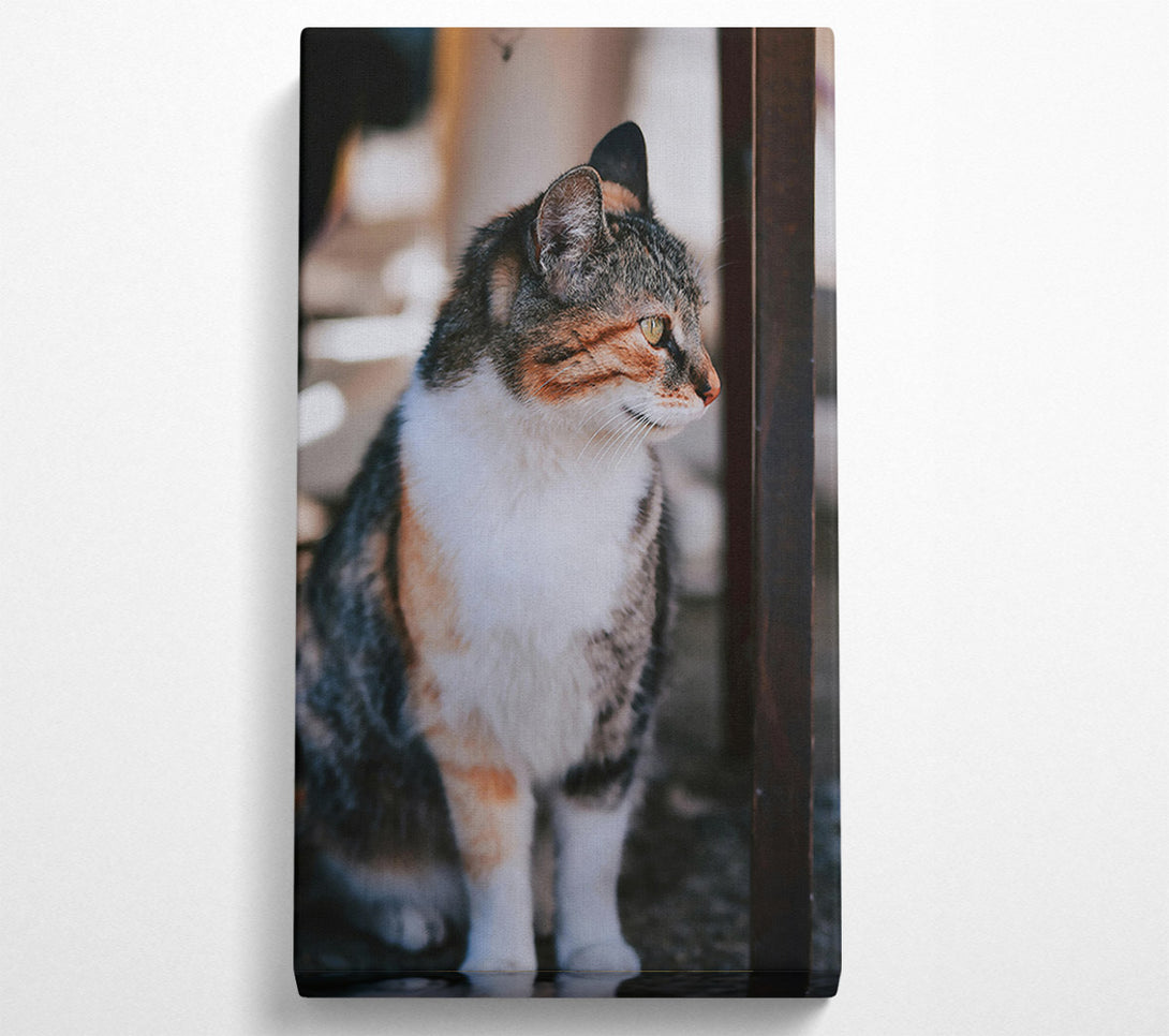  A Canvas Print of Golden-Eyed Feline Glance Canvas Wall Art