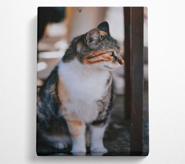  A Canvas Print of Golden-Eyed Feline Glance Canvas Wall Art