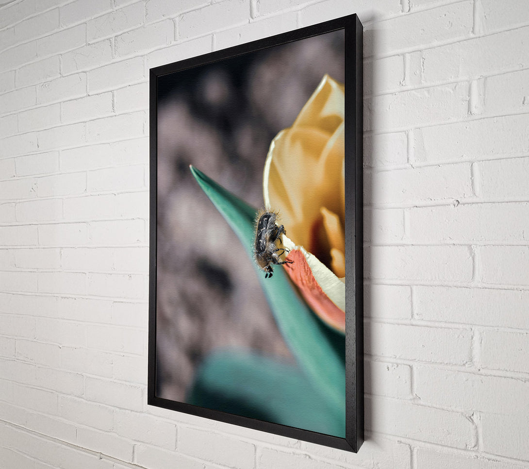  A Canvas Print of Green Petal Beetle Canvas Print